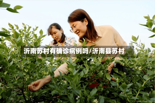 沂南苏村有确诊病例吗/沂南县苏村-第2张图片