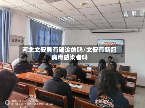 河北文安县有确诊的吗/文安有新冠病毒感染者吗-第2张图片