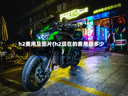 h2费用及图片(h2现在的费用是多少)