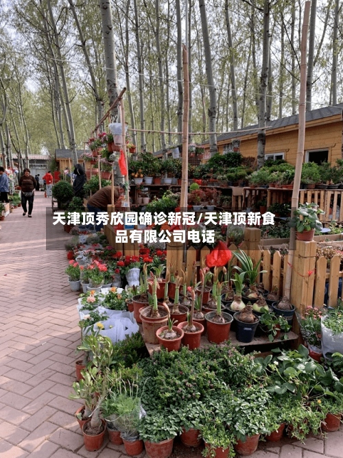 天津顶秀欣园确诊新冠/天津顶新食品有限公司电话