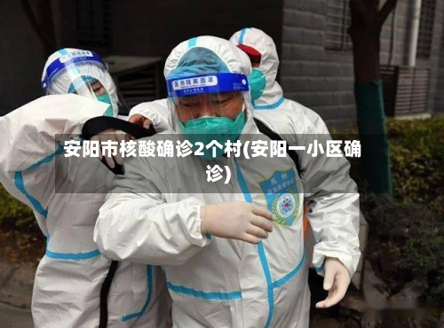 安阳市核酸确诊2个村(安阳一小区确诊)-第2张图片