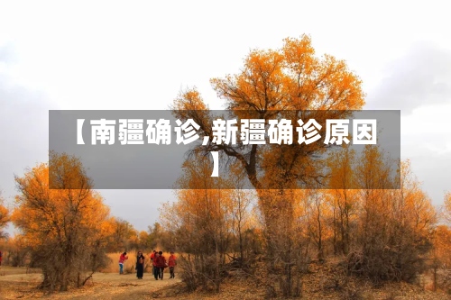 【南疆确诊,新疆确诊原因】