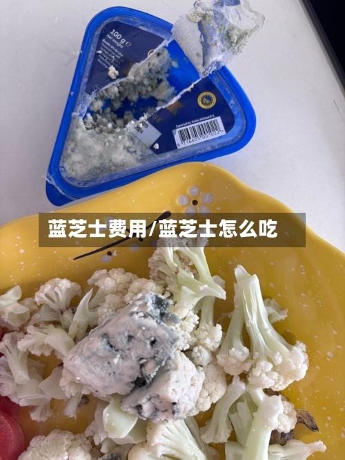 蓝芝士费用/蓝芝士怎么吃
