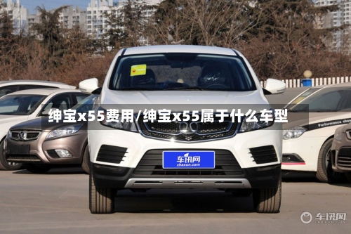 绅宝x55费用/绅宝x55属于什么车型-第2张图片