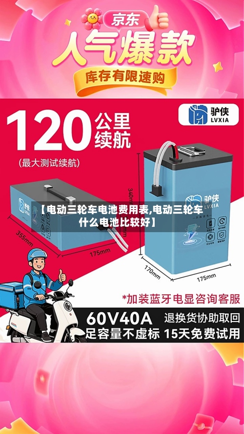 【电动三轮车电池费用表,电动三轮车什么电池比较好】-第2张图片
