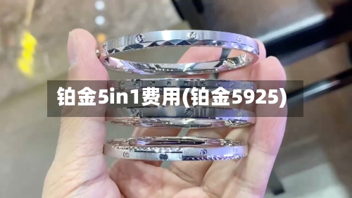 铂金5in1费用(铂金5925)-第2张图片