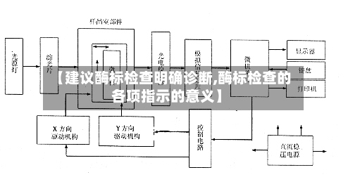 【建议酶标检查明确诊断,酶标检查的各项指示的意义】