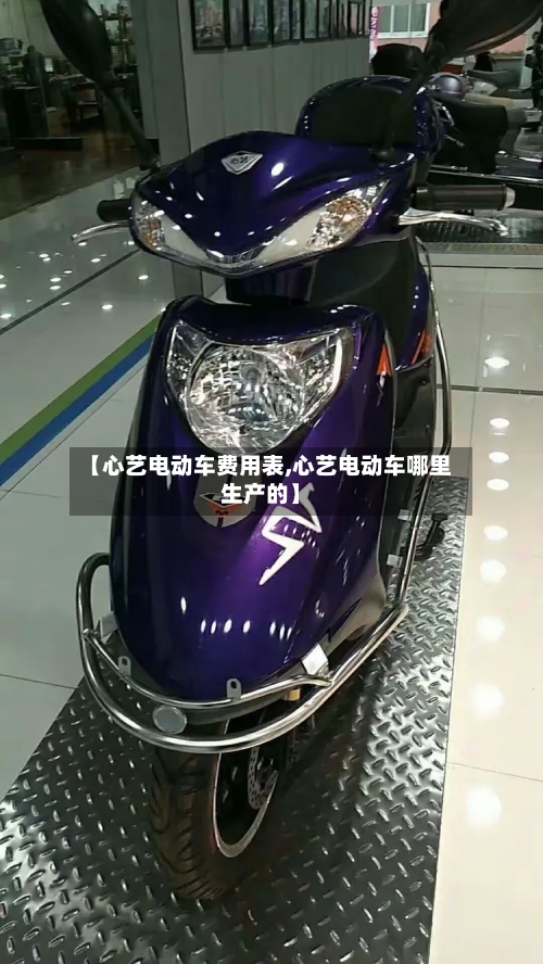 【心艺电动车费用表,心艺电动车哪里生产的】