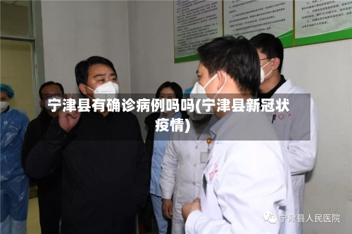 宁津县有确诊病例吗吗(宁津县新冠状疫情)-第2张图片