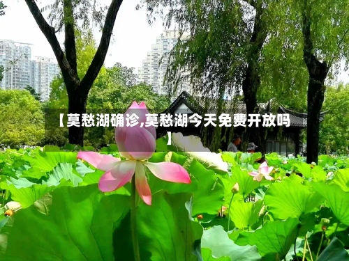 【莫愁湖确诊,莫愁湖今天免费开放吗】