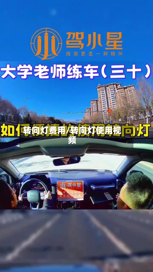 转向灯费用/转向灯使用视频