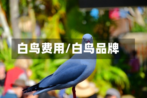 白鸟费用/白鸟品牌