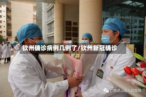 钦州确诊病例几例了/钦州新冠确诊