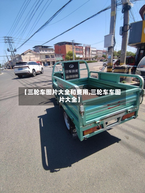 【三轮车图片大全和费用,三轮车车图片大全】-第2张图片