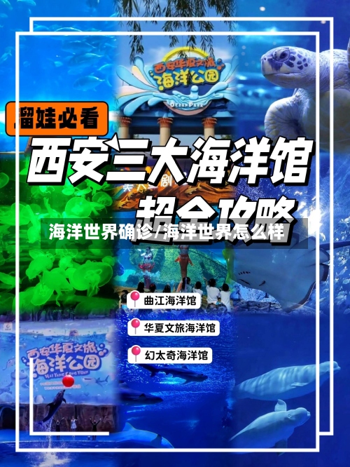 海洋世界确诊/海洋世界怎么样