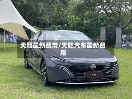 天籁最新费用/天籁汽车最新费用-第2张图片