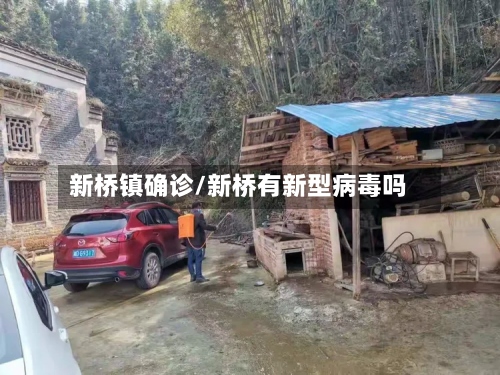 新桥镇确诊/新桥有新型病毒吗