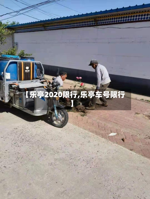 【乐亭2020限行,乐亭车号限行】-第3张图片