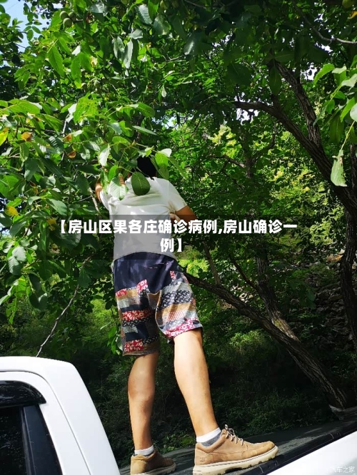 【房山区果各庄确诊病例,房山确诊一例】-第2张图片