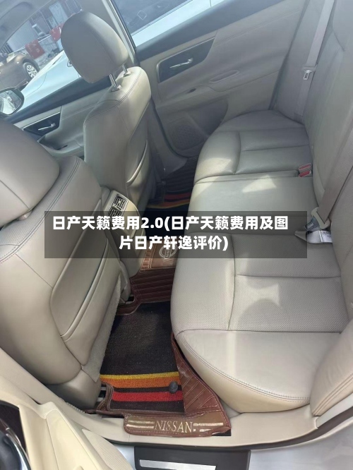 日产天籁费用2.0(日产天籁费用及图片日产轩逸评价)-第3张图片