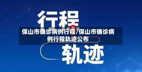 保山市确诊病例行程/保山市确诊病例行程轨迹公布
