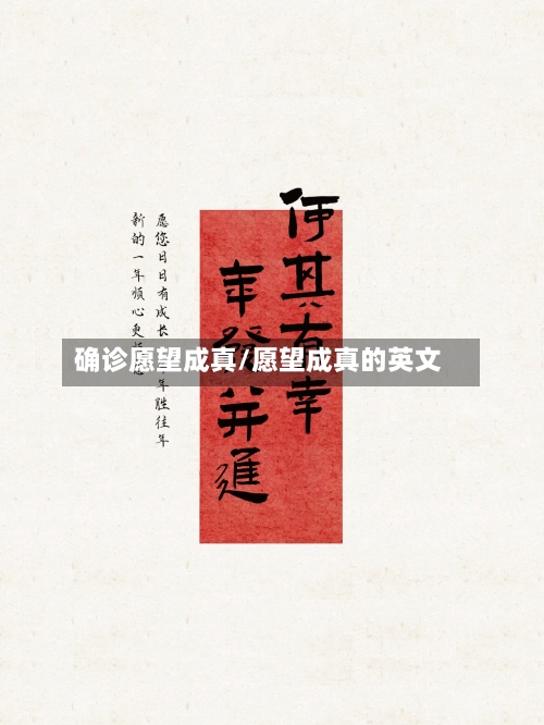 确诊愿望成真/愿望成真的英文-第3张图片