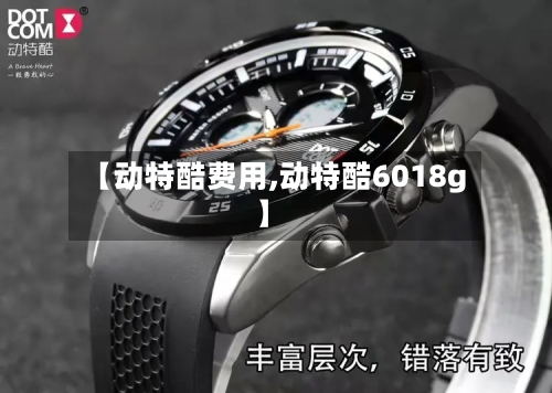 【动特酷费用,动特酷6018g】-第2张图片