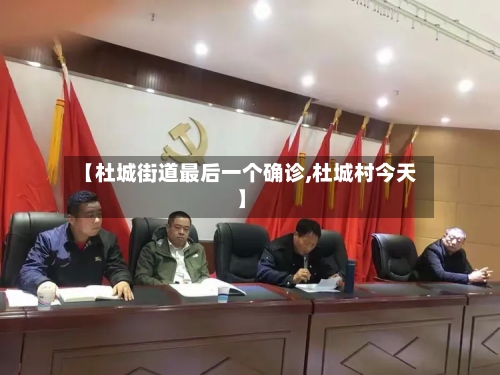 【杜城街道最后一个确诊,杜城村今天】