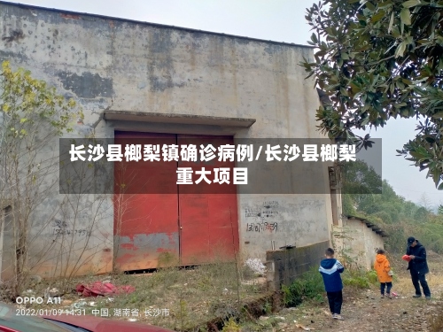 长沙县榔梨镇确诊病例/长沙县榔梨重大项目