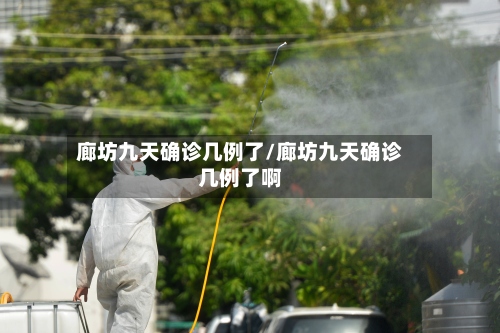 廊坊九天确诊几例了/廊坊九天确诊几例了啊-第3张图片