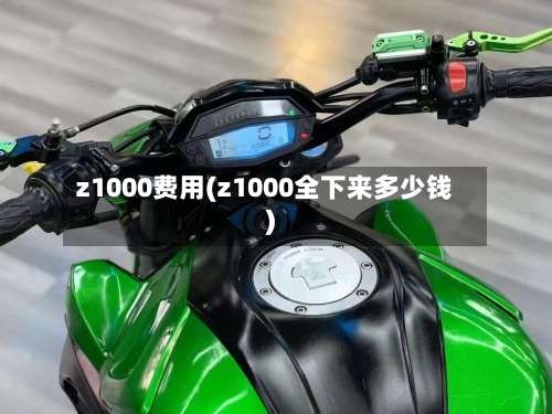 z1000费用(z1000全下来多少钱)