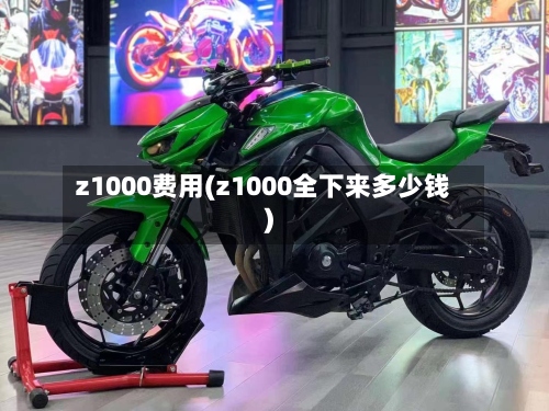 z1000费用(z1000全下来多少钱)-第2张图片
