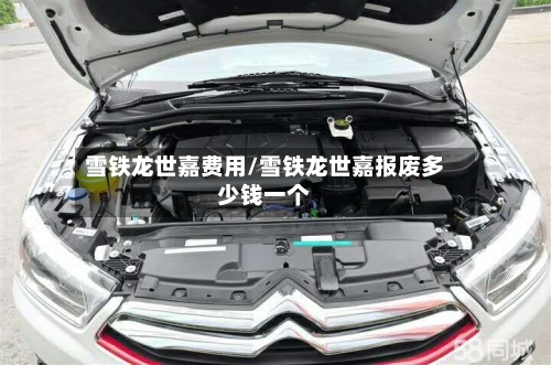 雪铁龙世嘉费用/雪铁龙世嘉报废多少钱一个-第3张图片