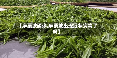【麻栗坡确诊,麻栗坡出现冠状病毒了吗】