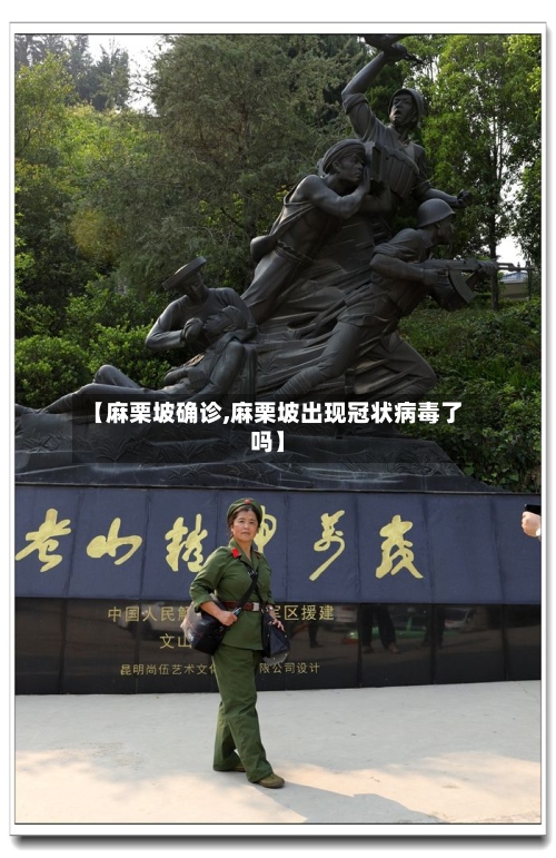 【麻栗坡确诊,麻栗坡出现冠状病毒了吗】-第2张图片