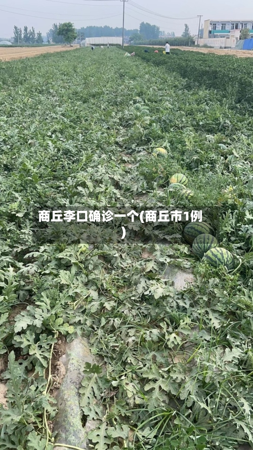商丘李口确诊一个(商丘市1例)-第3张图片