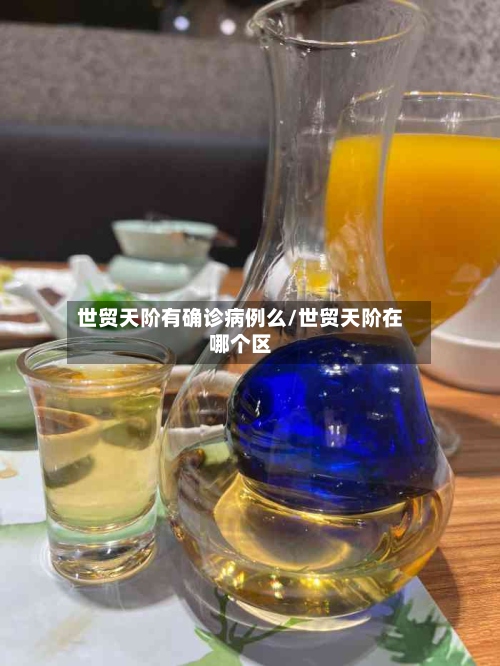 世贸天阶有确诊病例么/世贸天阶在哪个区-第2张图片