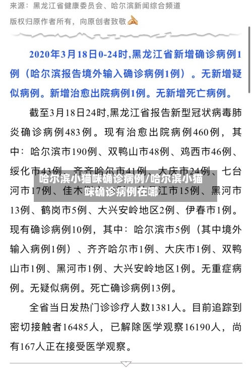 哈尔滨小猫咪确诊病例/哈尔滨小猫咪确诊病例在哪-第2张图片