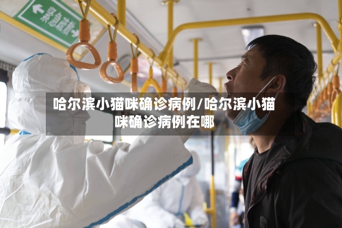 哈尔滨小猫咪确诊病例/哈尔滨小猫咪确诊病例在哪-第3张图片