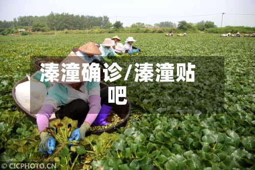 溱潼确诊/溱潼贴吧
