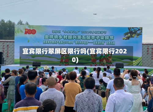 宜宾限行翠屏区限行吗(宜宾限行2020)