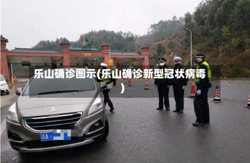 乐山确诊图示(乐山确诊新型冠状病毒)