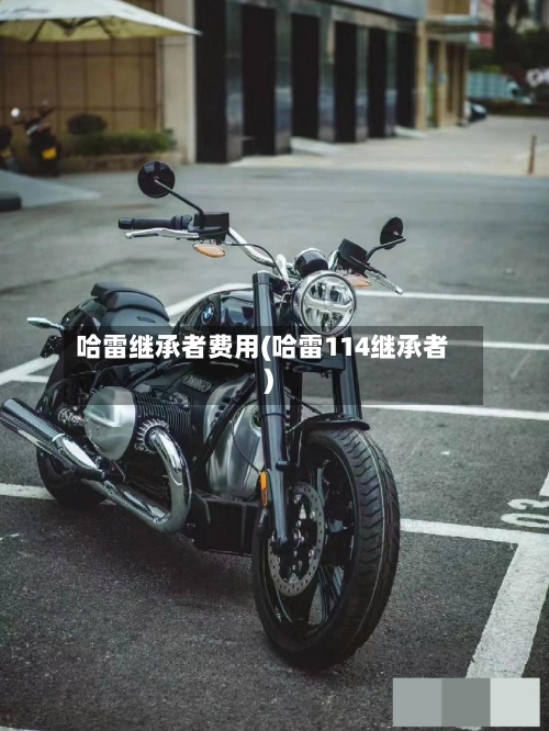 哈雷继承者费用(哈雷114继承者)-第2张图片
