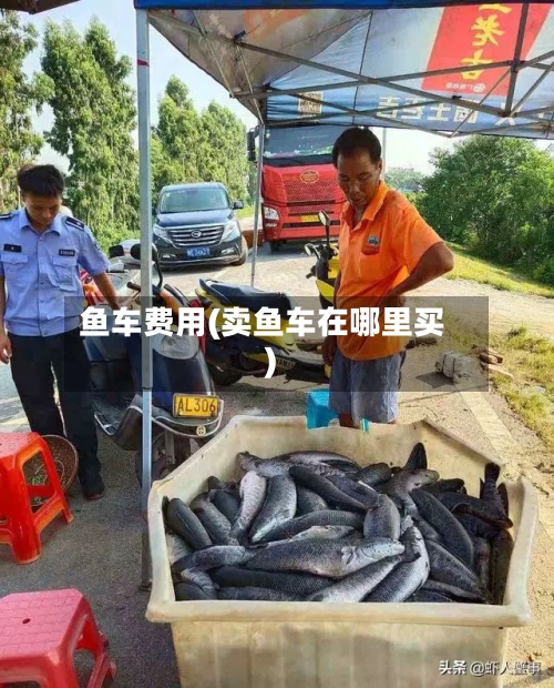 鱼车费用(卖鱼车在哪里买)-第2张图片