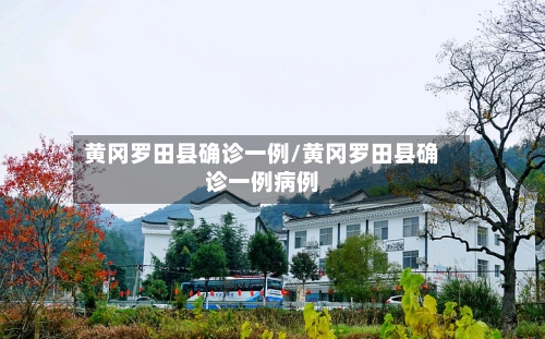 黄冈罗田县确诊一例/黄冈罗田县确诊一例病例-第2张图片