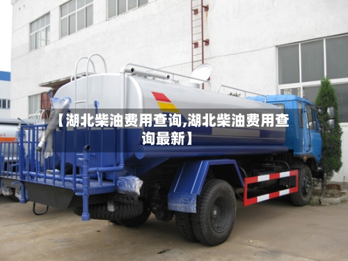 【湖北柴油费用查询,湖北柴油费用查询最新】