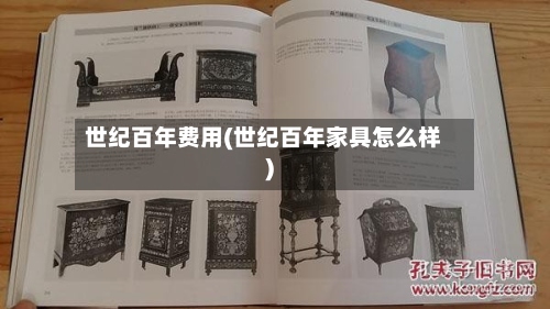 世纪百年费用(世纪百年家具怎么样)