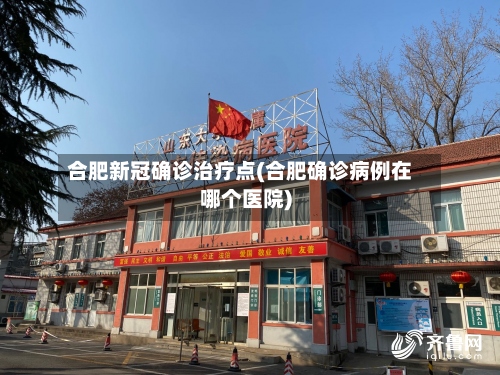 合肥新冠确诊治疗点(合肥确诊病例在哪个医院)