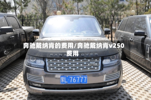 奔驰戴纳肯的费用/奔驰戴纳肯v250费用