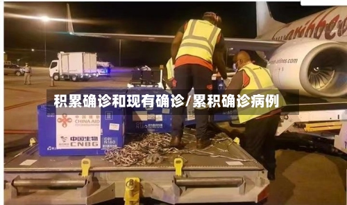 积累确诊和现有确诊/累积确诊病例-第2张图片